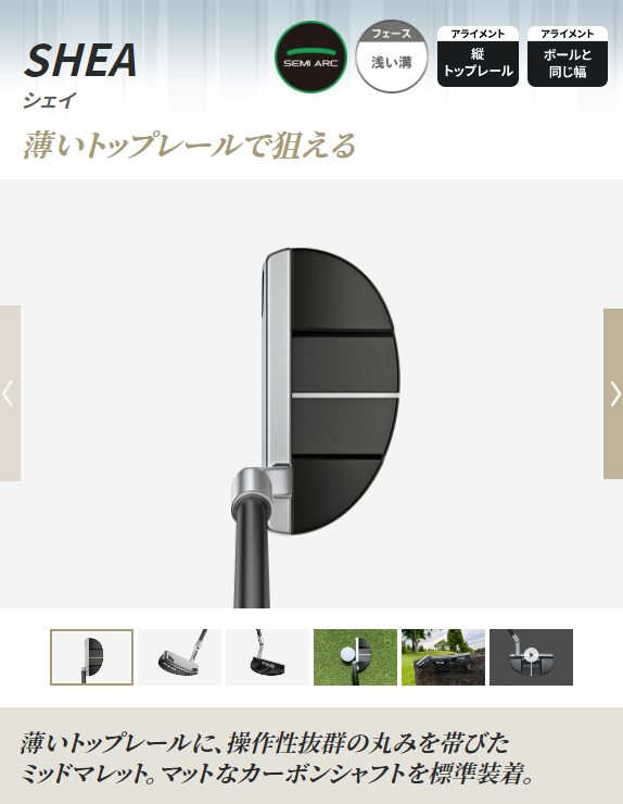 ＰＩＮＧ　パター