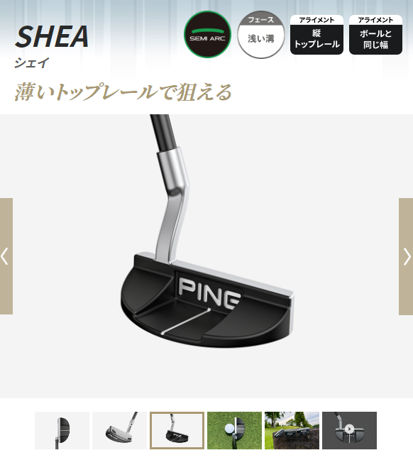 ＰＩＮＧ　パター