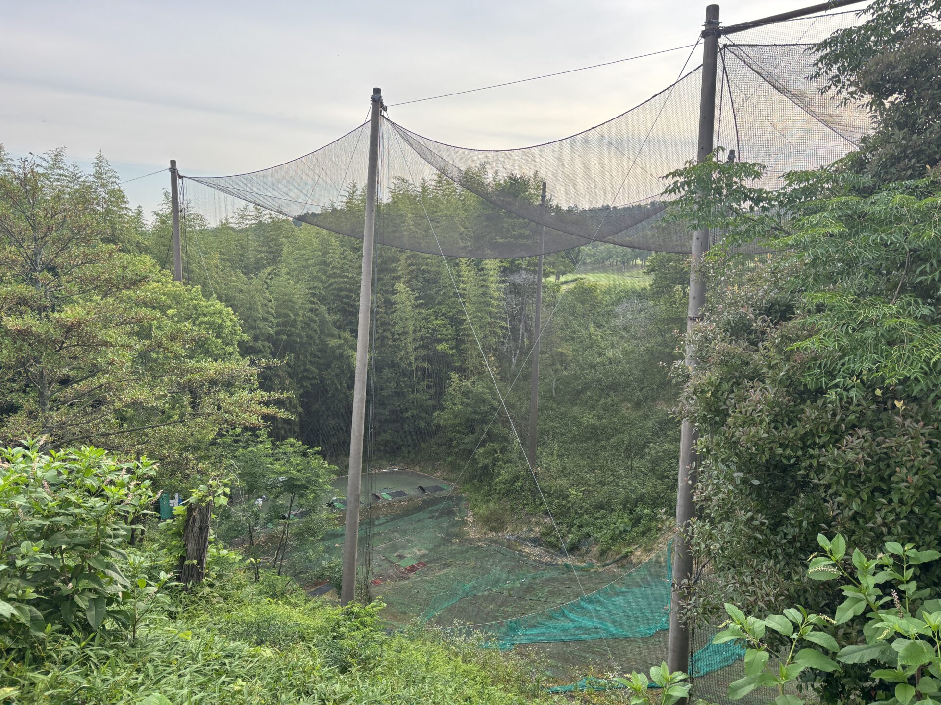 フォレスト三木 打球練習場