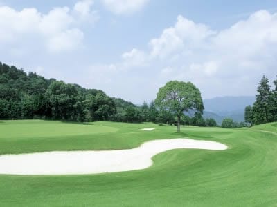 加茂カントリークラブの実際の風景