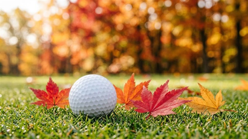 紅葉した落ち葉の上に置かれたゴルフボールのクローズアップ